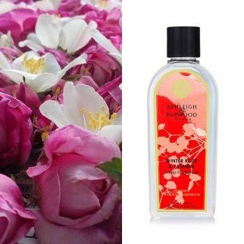 winter rose & jasmine lamp fragrance