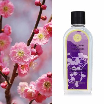 plum blossom & pomegrante lamp fragrance