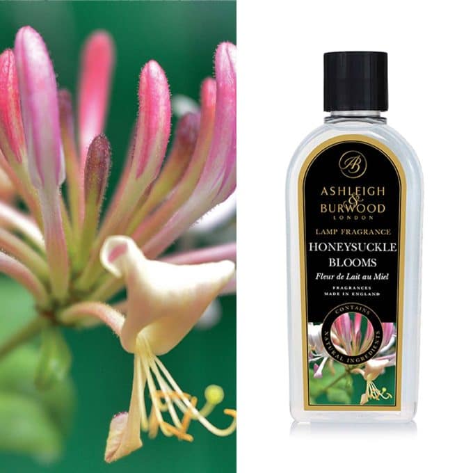 Honeysuckle Blooms Lamp Fragrance