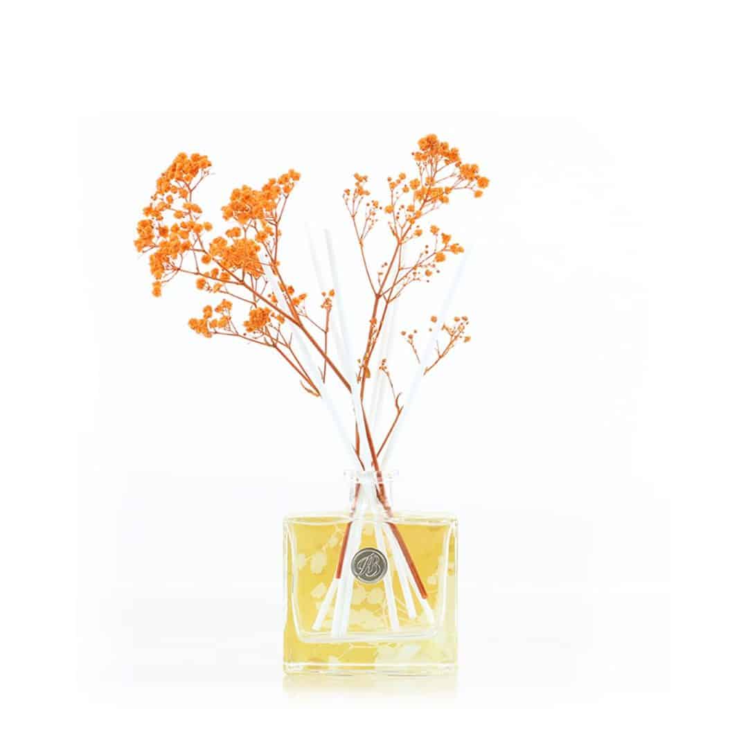 Orange Blossom & Mandarin Reed Diffuser