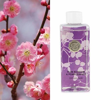 Plum Blossom & Pomegranate Diffuser Refill